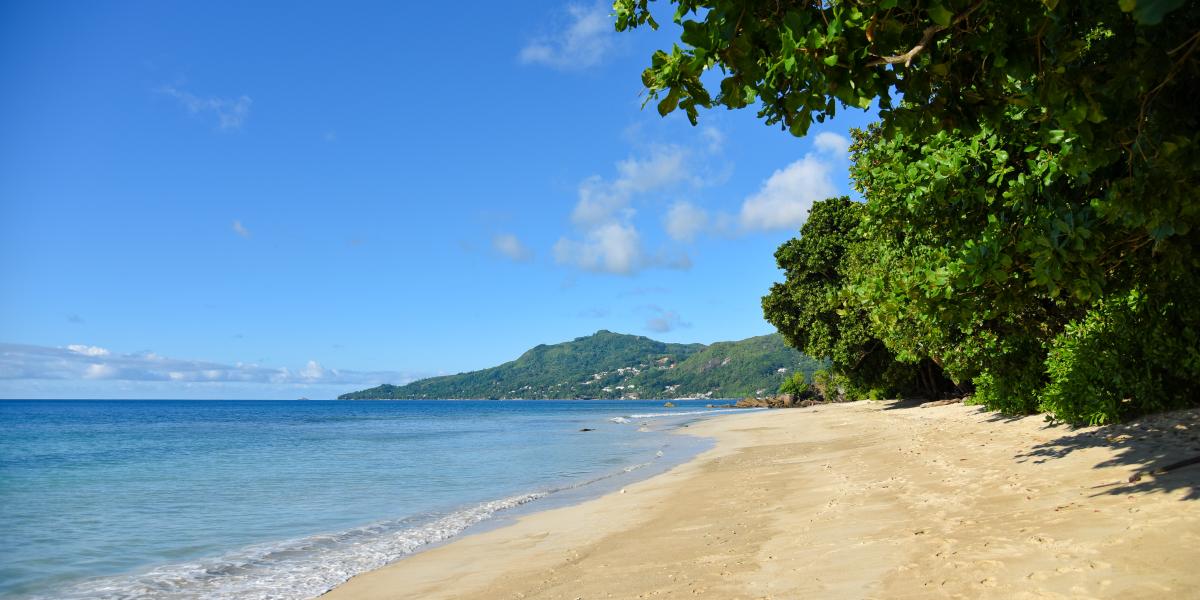 Ocean View Guest House