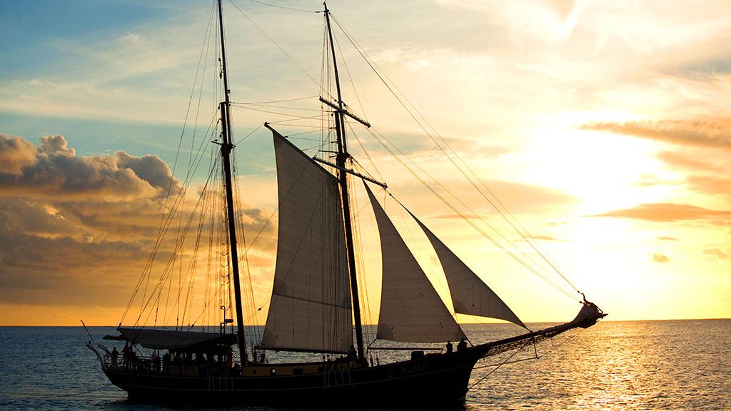 Photo 14: Silhouette Seychelles Dive Safari - Seychelles (Seychelles)