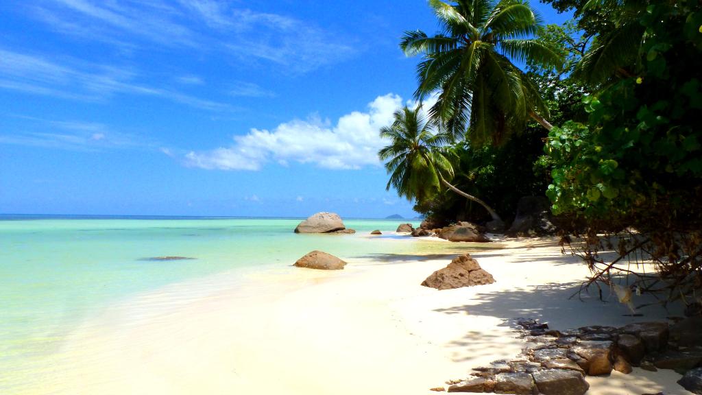Photo 32: Silhouette Seychelles Dive Safari - Seychelles (Seychelles)