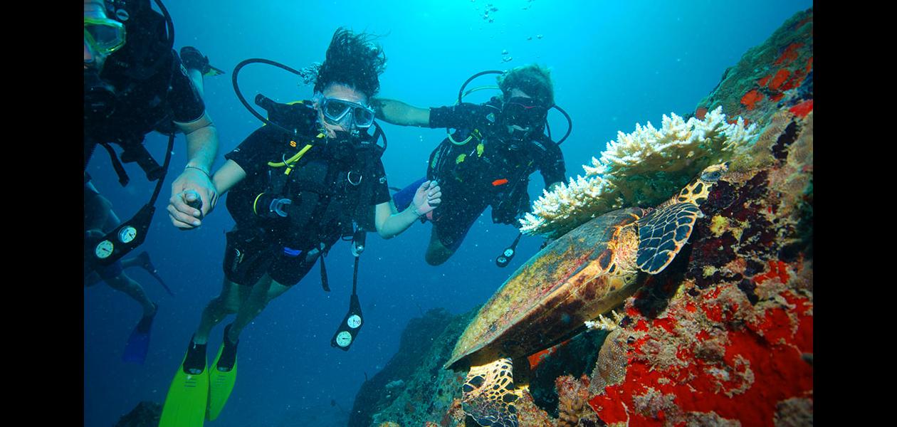 Silhouette Seychelles Dive Safari - Fotografie 1