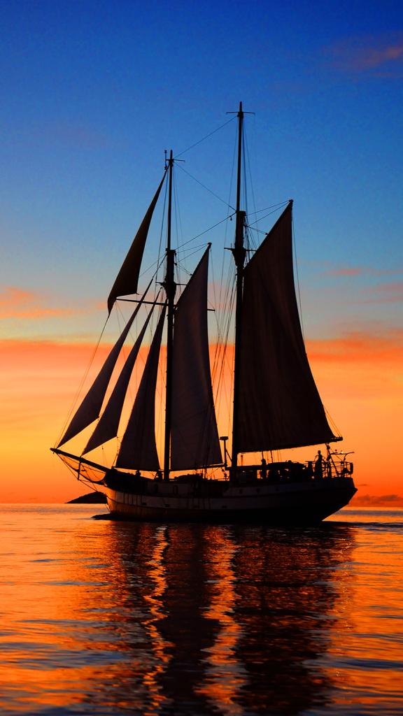 Photo 17: Silhouette Seychelles Dive Safari - Seychelles (Seychelles)