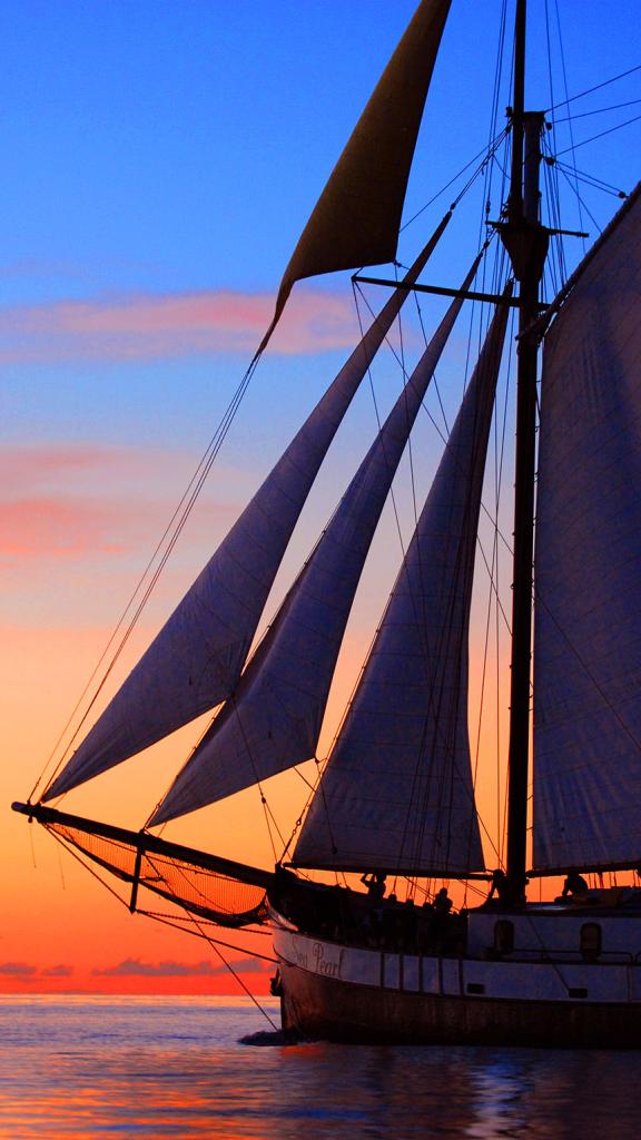 Photo 15: Silhouette Seychelles Dive Safari - Seychelles (Seychelles)