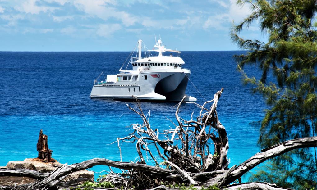 Silhouette Aldabra Expeditions