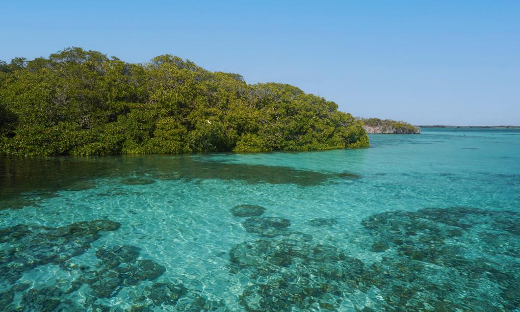 Silhouette Aldabra Expeditions