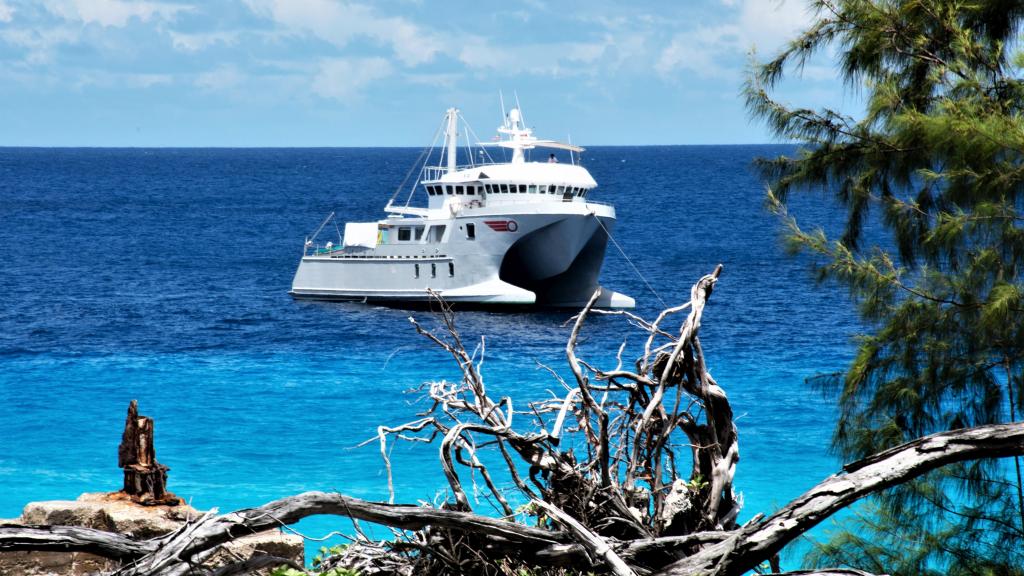 Photo 64: Silhouette Aldabra Expeditions - Seychelles (Seychelles)