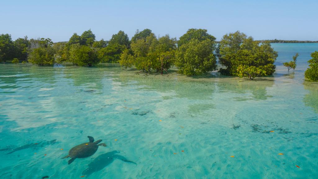 Photo 14: Silhouette Aldabra Expeditions - Seychelles (Seychelles)