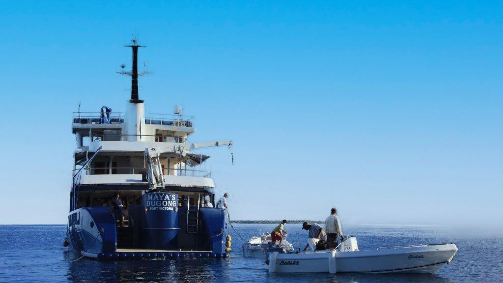 Photo 37: Silhouette Aldabra Expeditions - Seychelles (Seychelles)