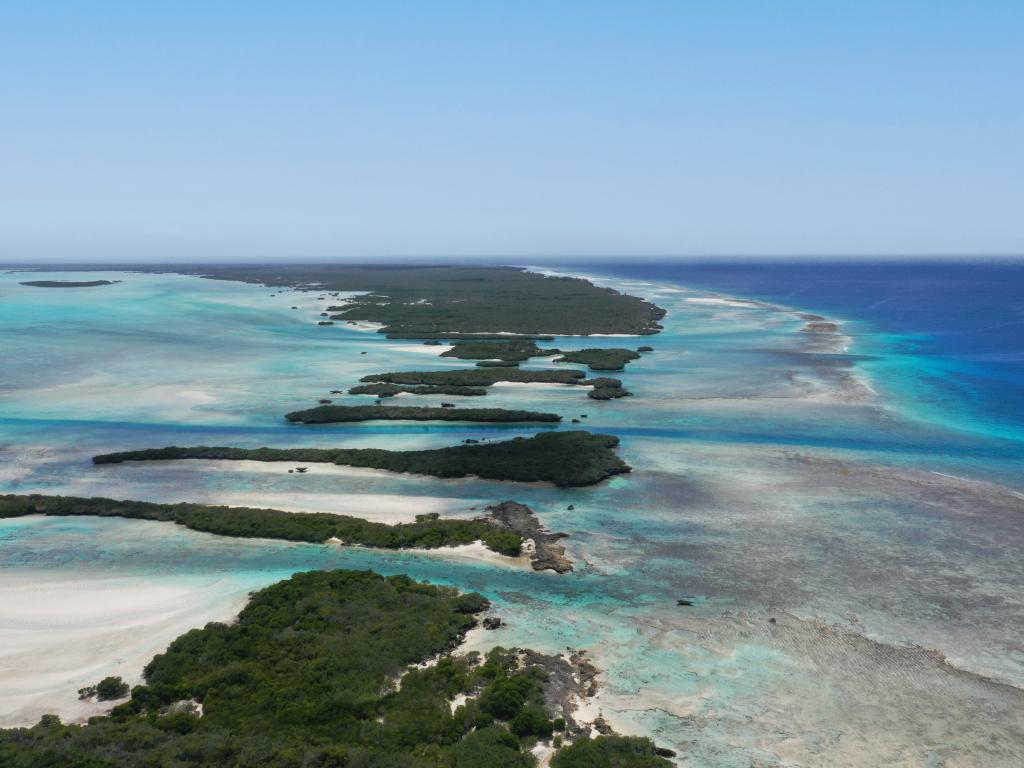 Silhouette Aldabra Expeditions - Photo 7