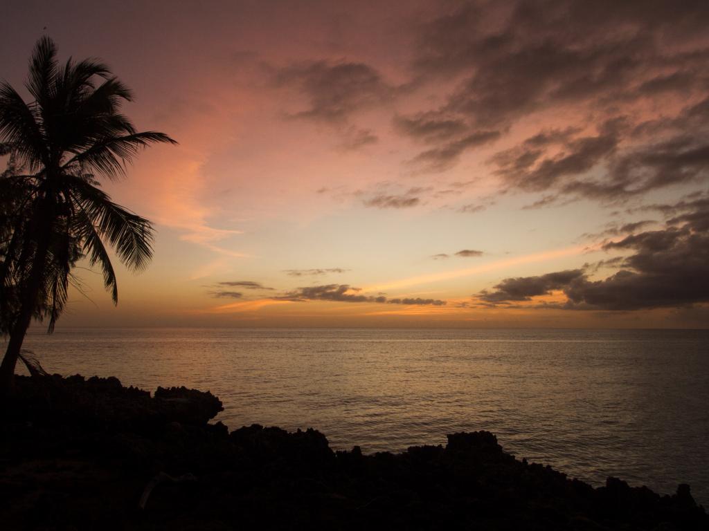 Silhouette Aldabra Expeditions - Photo 5