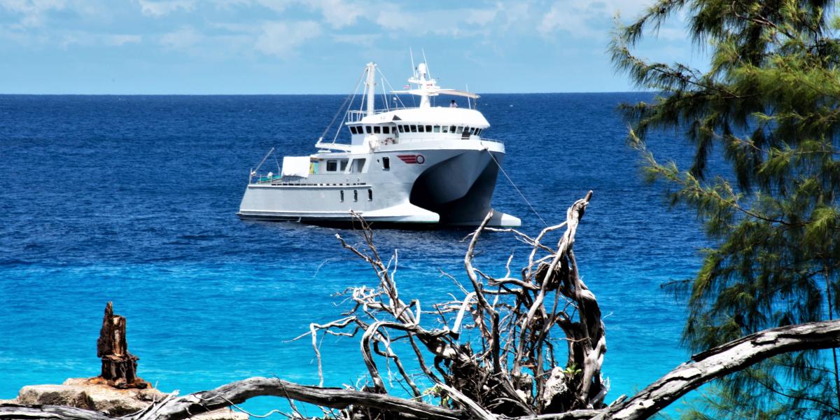 Silhouette Aldabra Expeditions