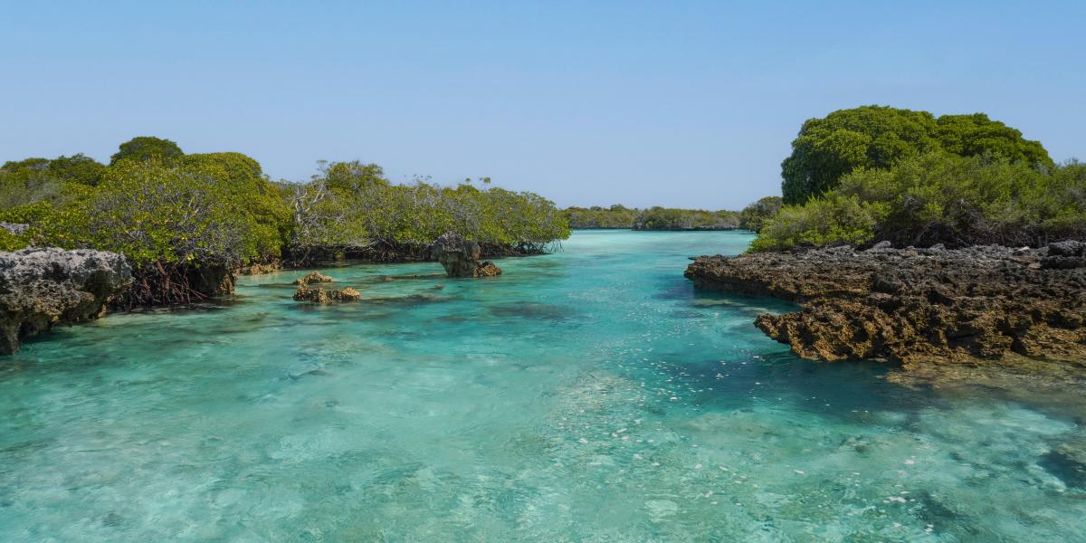 Silhouette Aldabra Expeditions