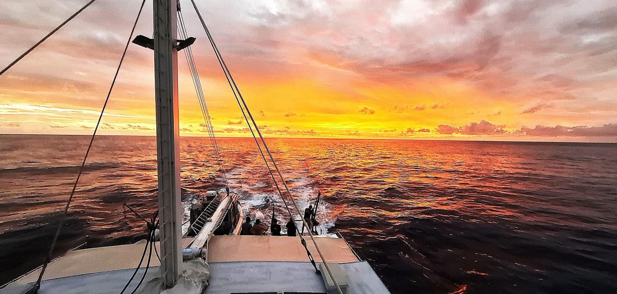 Silhouette Aldabra Expeditions - Photo 1