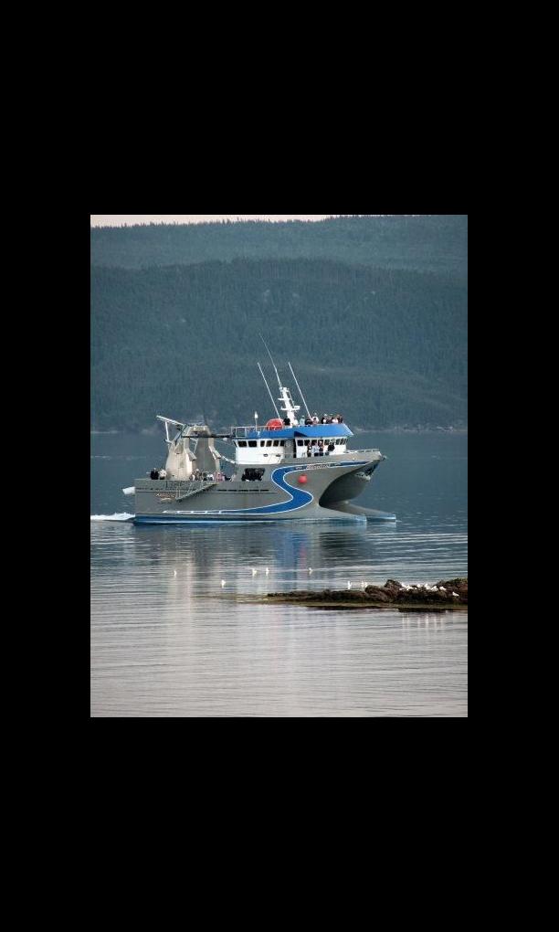 Silhouette Aldabra Expeditions