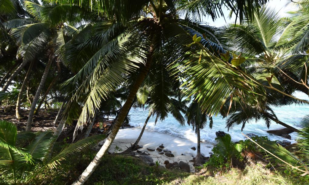 Chalets Bougainville