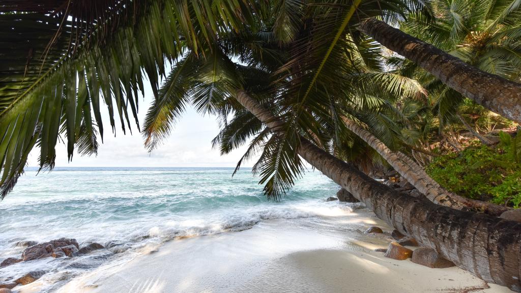 Foto 139: Chalets Bougainville - Mahé (Seychelles)