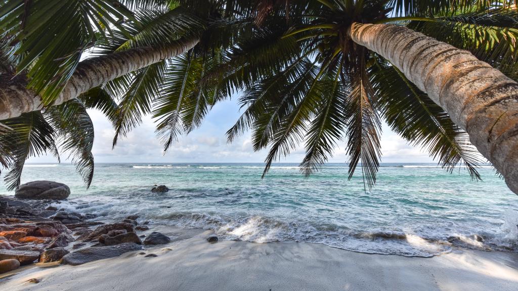 Foto 140: Chalets Bougainville - Mahé (Seychelles)