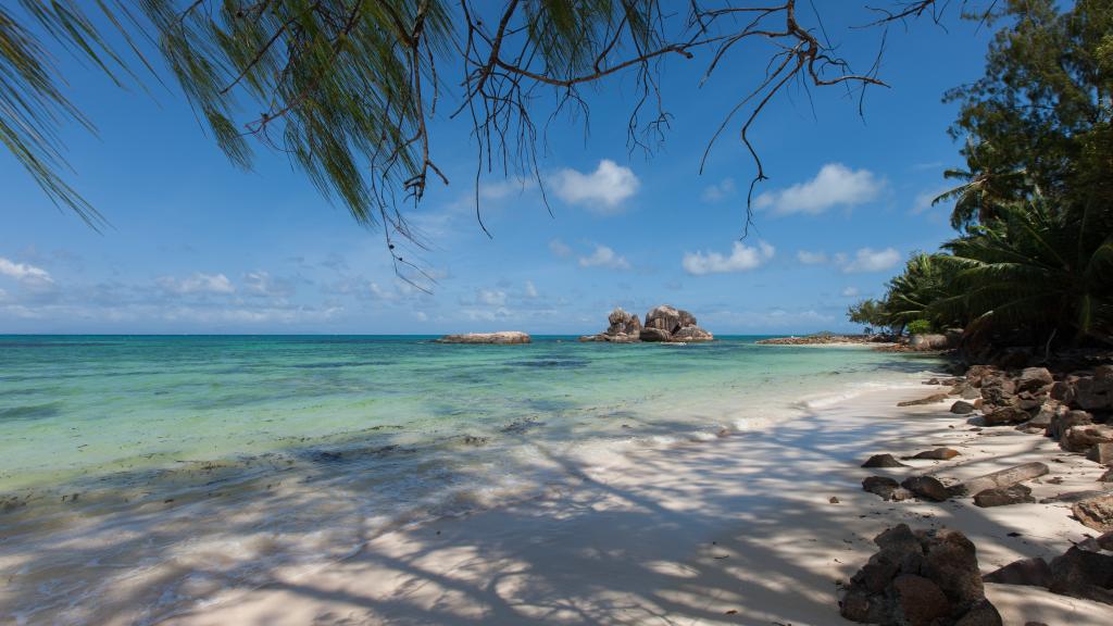 Photo 42: YASAD Luxury Beach Residence - Praslin (Seychelles)