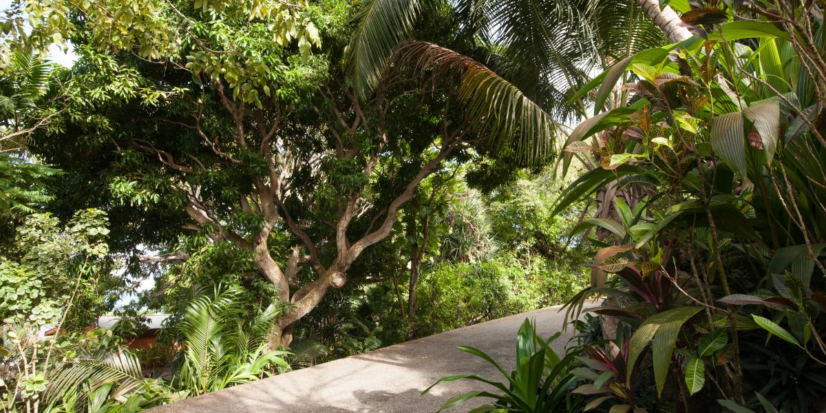 YASAD Luxury Beach Residence
