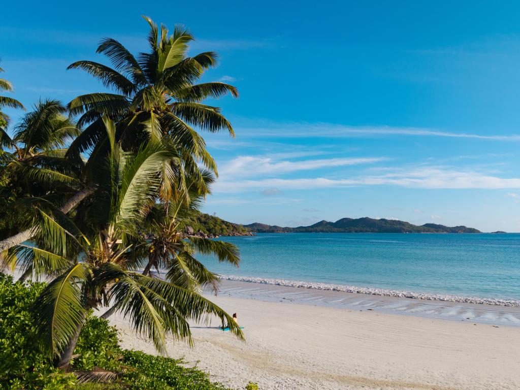 Acquario Villa - Photo 6