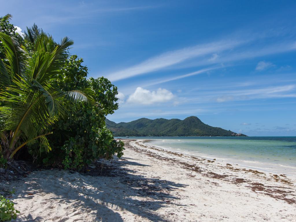 Villa Laure - Photo 6