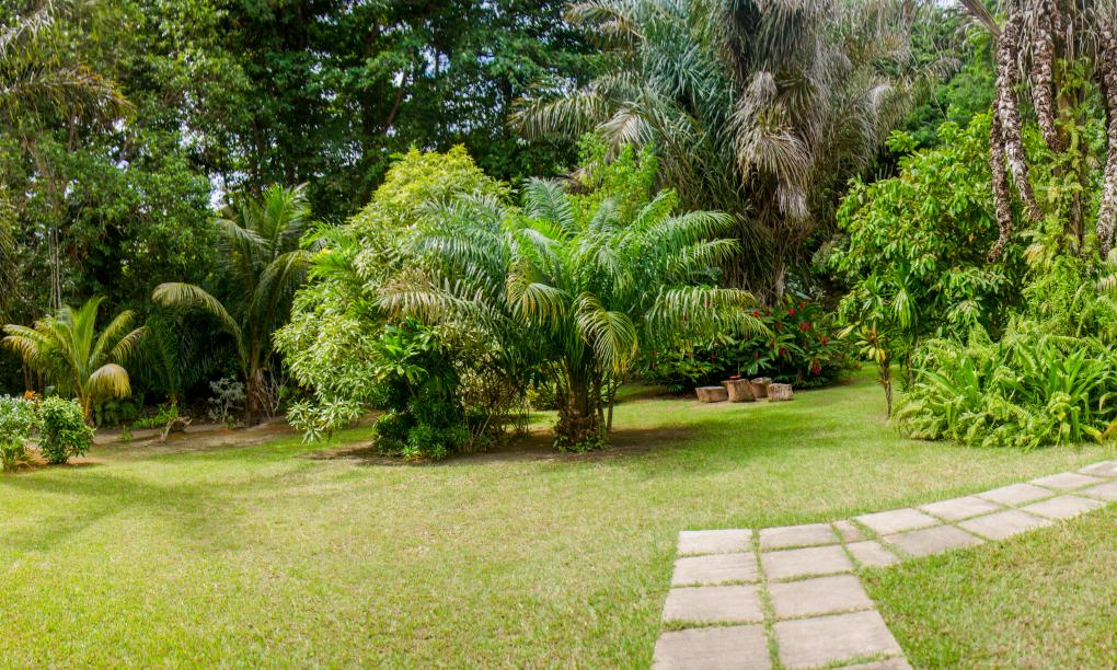 Villa Rafia