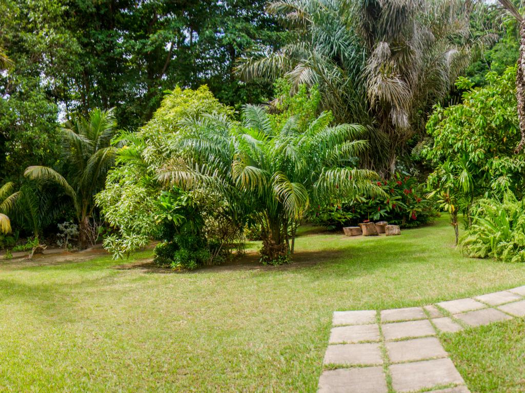 Villa Rafia - Photo 5