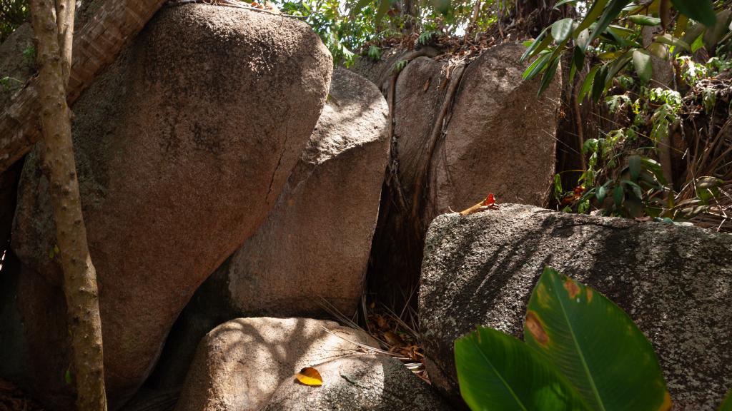 Foto 13: La Pointe Beach Huts - Praslin (Seychelles)