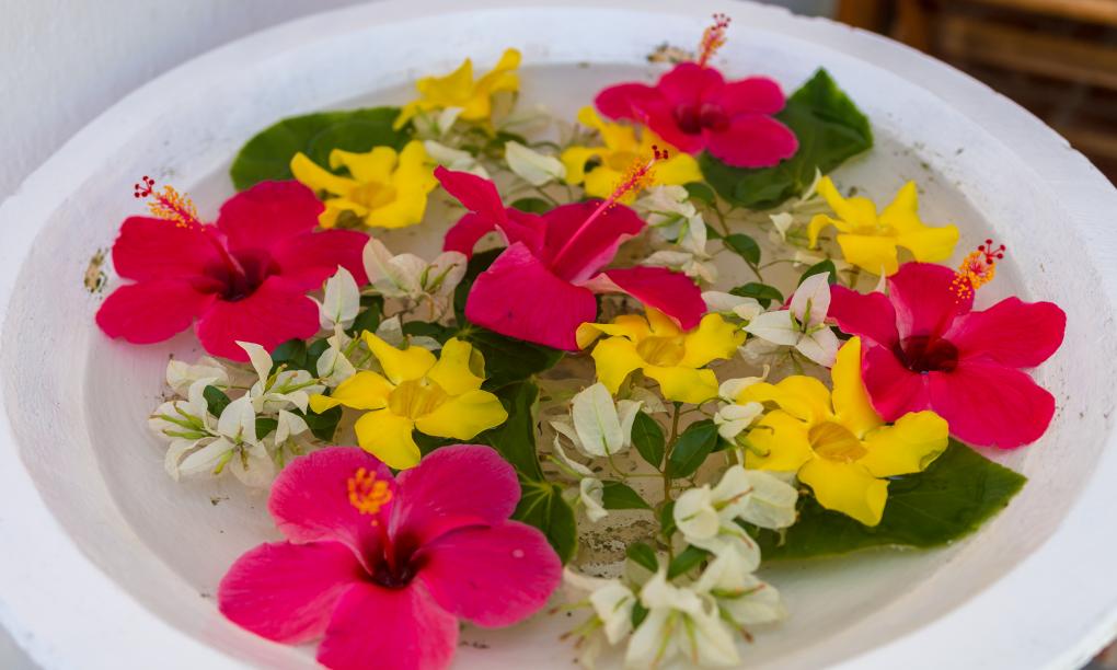 The Beach House - Camera Superior Vista Mare