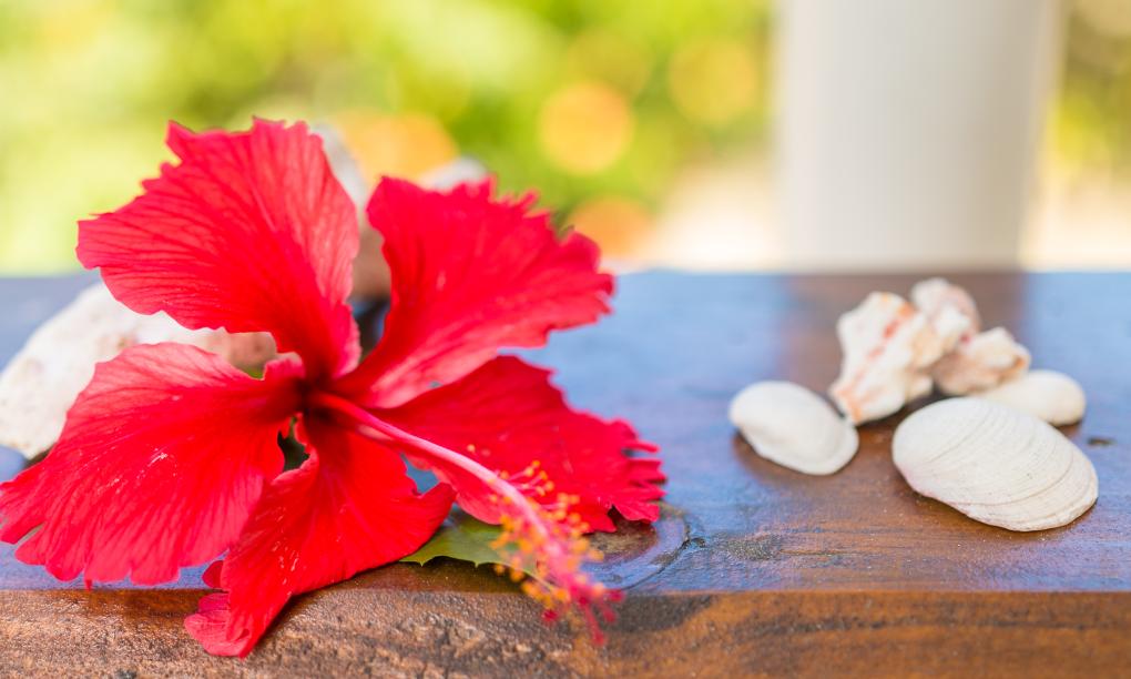 The Beach House - Camera Superior Vista Mare