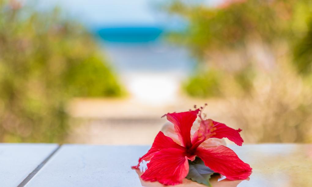 The Beach House - Camera Superior Vista Mare