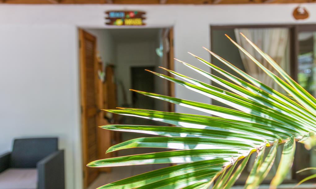 The Beach House - Camera Standard Vista Giardino