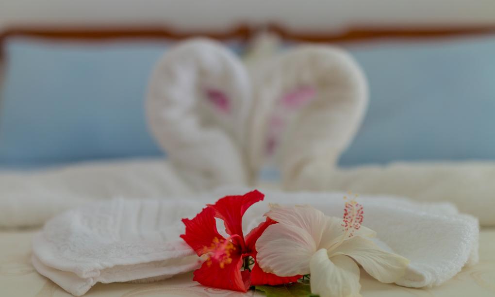 The Beach House - Camera Low Cost