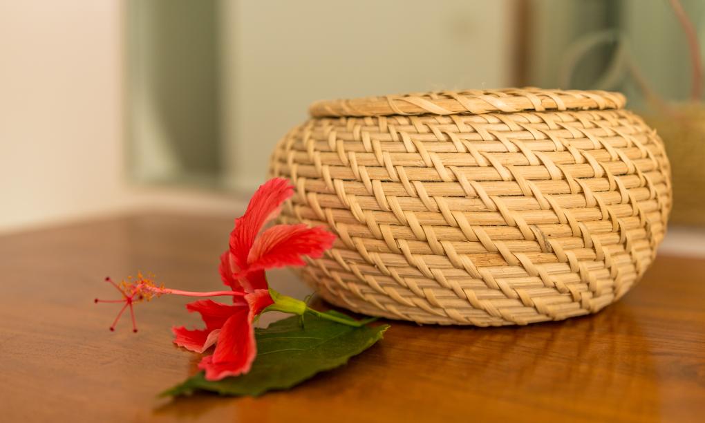 The Beach House - Camera Low Cost