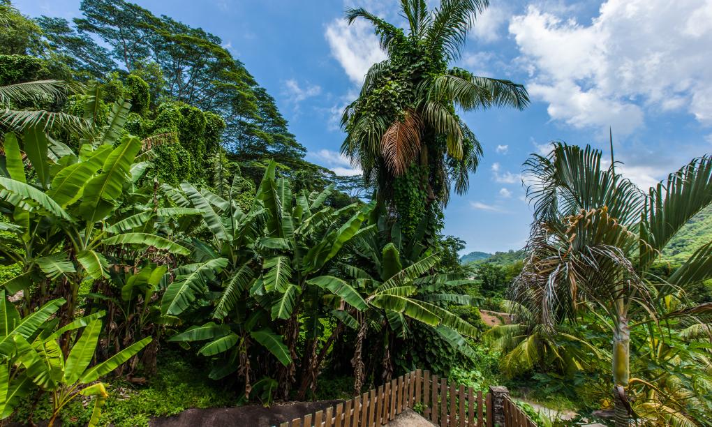 South Point Chalets - 1-Bedroom Villa