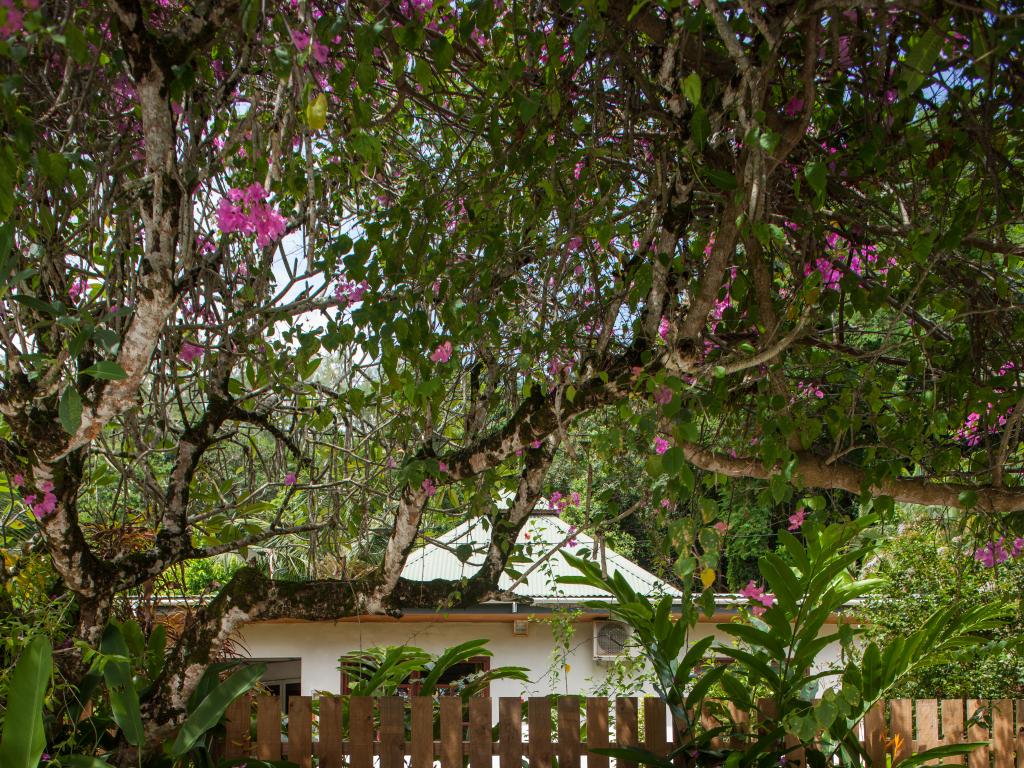 South Point Chalets - Photo 6