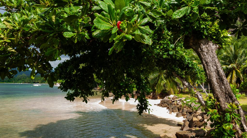 Foto 25: Villa Tamanu - Praslin (Seychelles)