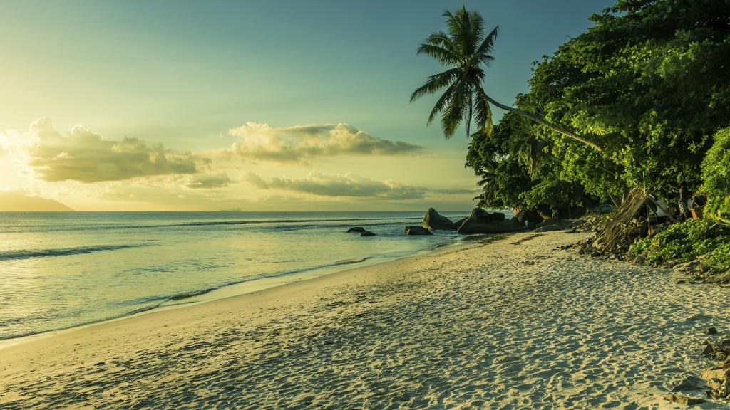 Foto 65: Tropical Hideaway - Mahé (Seychellen)