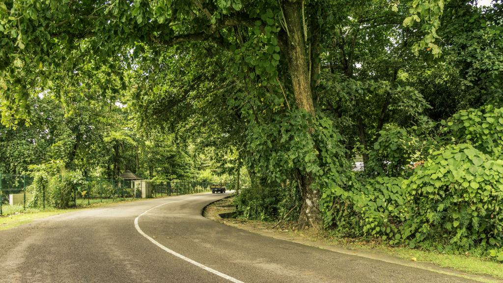 Photo 73: Tropical Hideaway - Mahé (Seychelles)