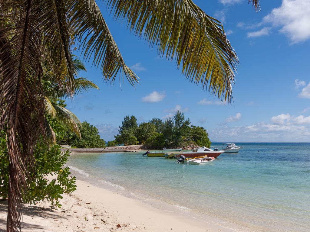 Chalets d'Anse Réunion - Photo 7