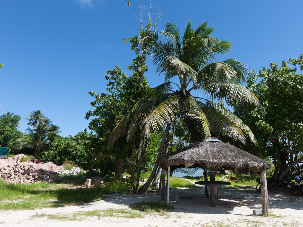 Chalets d'Anse Réunion - Photo 6
