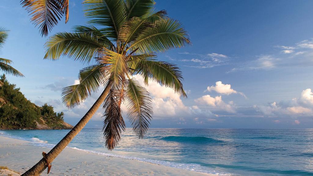 Foto 48: North Island Seychelles - North Island (Seychellen)