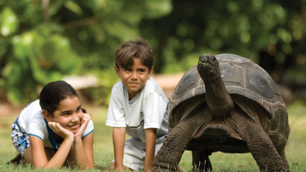 Photo 46: North Island Seychelles - North Island (Seychelles)