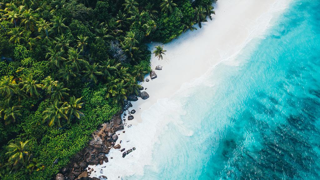 Photo 5: North Island Seychelles - North Island (Seychelles)