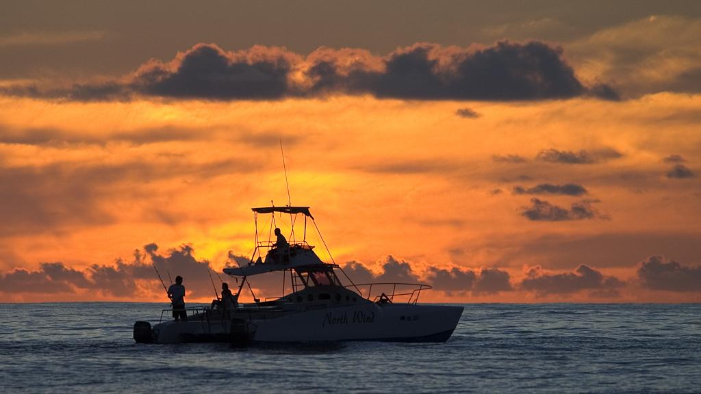 Foto 78: North Island Seychelles - North Island (Seychelles)
