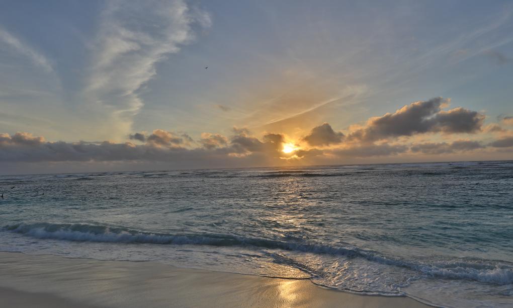 Bird Island Seychelles