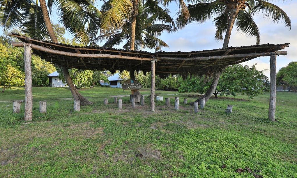 Bird Island Seychelles