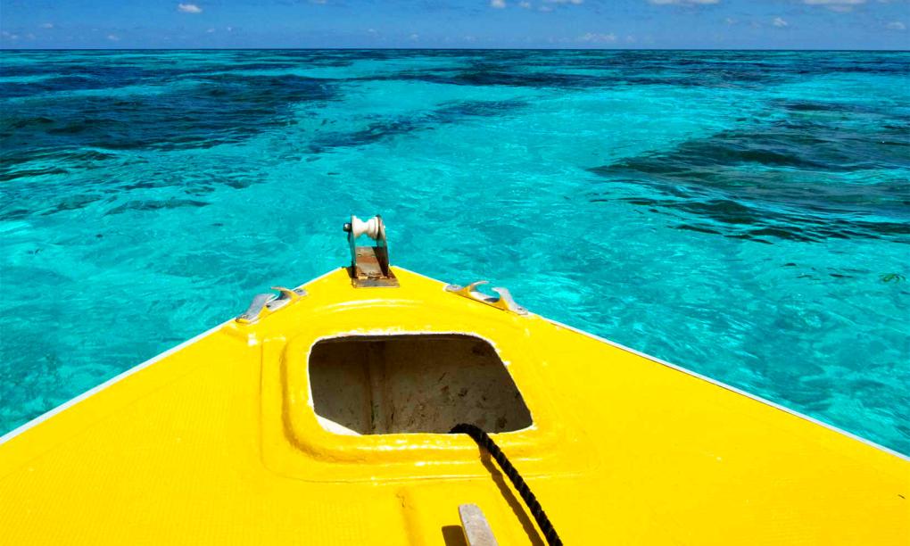 Bird Island Seychelles