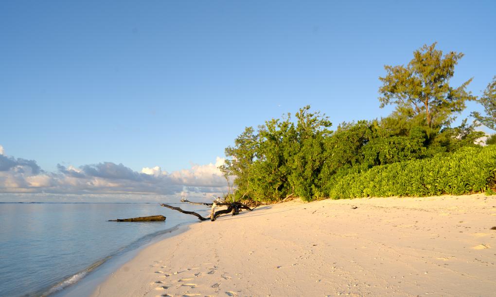 Bird Island Seychelles
