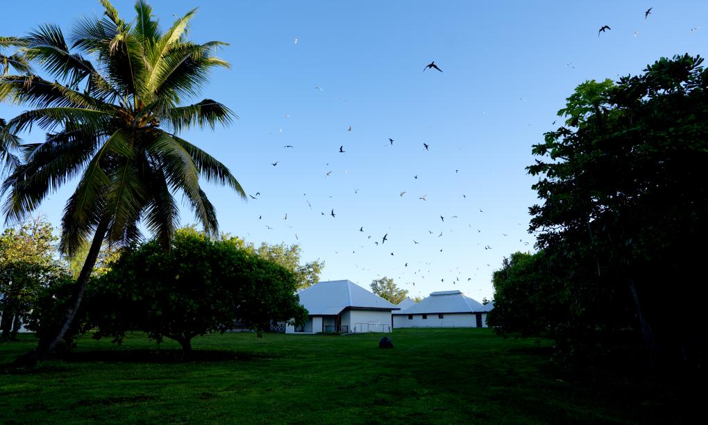 Bird Island Seychelles