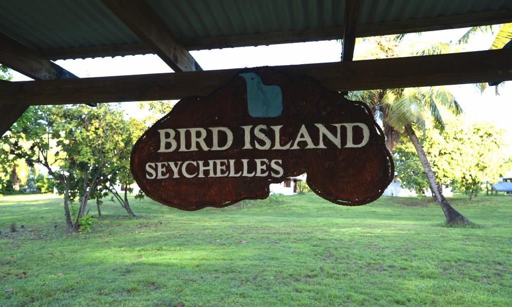 Bird Island Seychelles